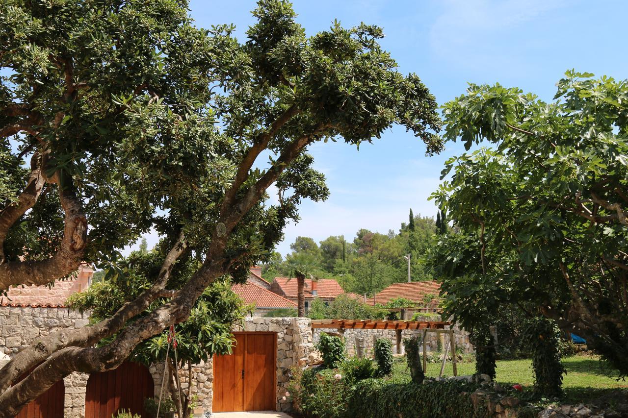 Villa Guardian Cilipi Exterior photo